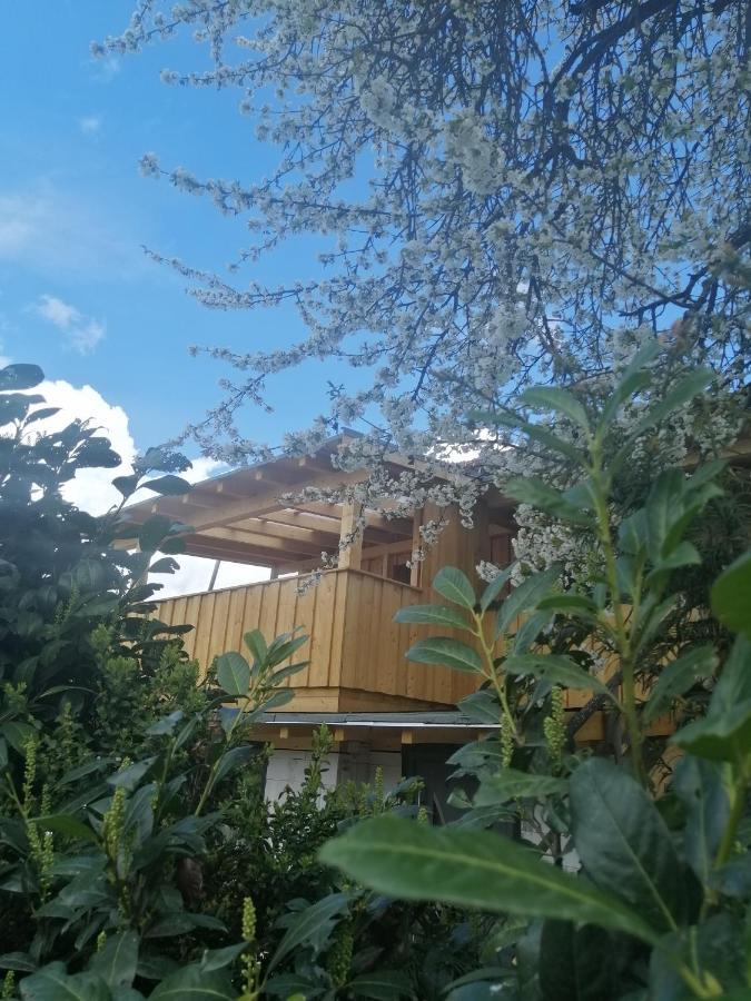 Appartement Seppi Innsbruck Exterior photo